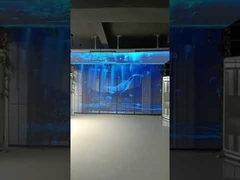 1920Hz LED Transparent Screen P3.91-7.8 Glass Wall